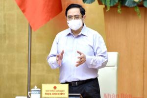 Фам Минь Тинь председательствовал на общенациональном онлайн-совещании по вопросам профилактики и борьбы с короанвирусом