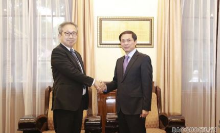 Активизация отношений углублённого стратегического партнерства между Вьетнамом и Японией