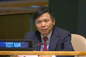 Вьетнам выступает за увеличение числа постоянных и непостоянных членов Совета безопасности ООН