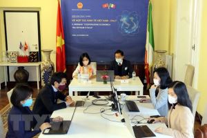 Состоялась онлайн-беседа об экономическом сотрудничестве между Вьетнамом и Италией