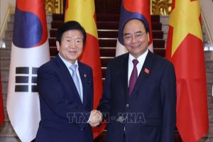 Вьетнам и Республика Корея стремятся вывести двусторонние отношения на новый уровень