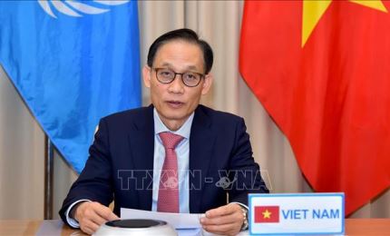 Вьетнам принял участие в онлайн-дискуссии Совбеза ООН на высоком уровне