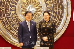 Южнокорейские СМИ: председатель Национального собрания Республики Корея Пак Бён Сок намерен вывести отношения с Вьетнамом на новый уровень