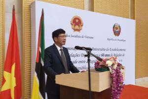 Вьетнам и Мозамбик отмечают 45-летие установления дипломатических отношений