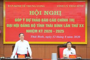 Заведующий отделом ЦК КПВ по экономическим вопросам Нгуен Ван Бинь отметил возможные направления развития провинции Тхайбинь