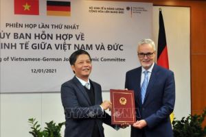 EVFTA стало важным стимулом для развития  германско-вьетнамских торговых отношений