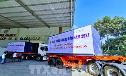 Состоялась церемония отправки 1600 тонн вьетнамского риса в Малайзию и Сингапур