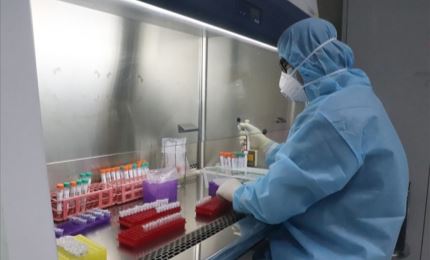В стране выявлен первый случай заражения новым типом коронавируса, недавно обнаруженным в Великобритании