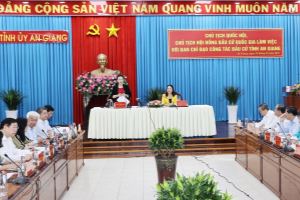 Товарищ Нгуен Тхи Ким Нган провела рабочую встречу с комитетом провинции Анзянг по подготовке к выборам