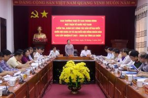 ЦК ОФВ проверил подготовительную работу к всеобщим выборам в провинции Ляйтяу