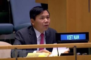 Вьетнам поддерживает кампанию ООН по обеспечению безопасности в районе Великих Африканских озер.