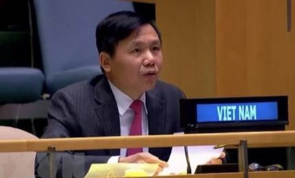 Вьетнам поддерживает кампанию ООН по обеспечению безопасности в районе Великих Африканских озер.