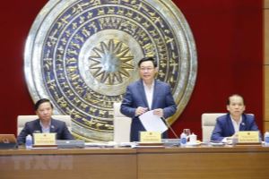 Председатель НС Выонг Динь Хюэ провел рабочую встречу с Постоянным бюро Комитета НС по юридическим вопросам.