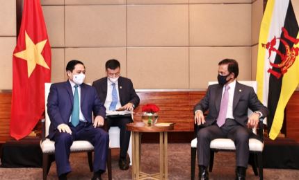 Встреча между премьер-министром Вьетнама и султаном Брунея