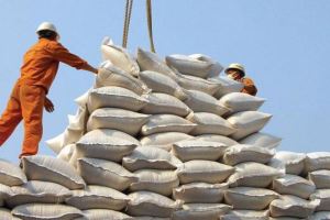 Вьетнам остается на втором месте в мире по экспорту риса