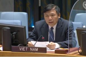 Вьетнам поддерживает усилия по защите мирных жителей в Судане