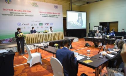 В Ханое состоялся первый национальный диалог по обеспечению глобальной продовольственной безопасности