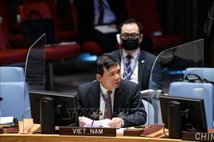 Вьетнам призвал Мали активизировать усилия по достижению национального согласия